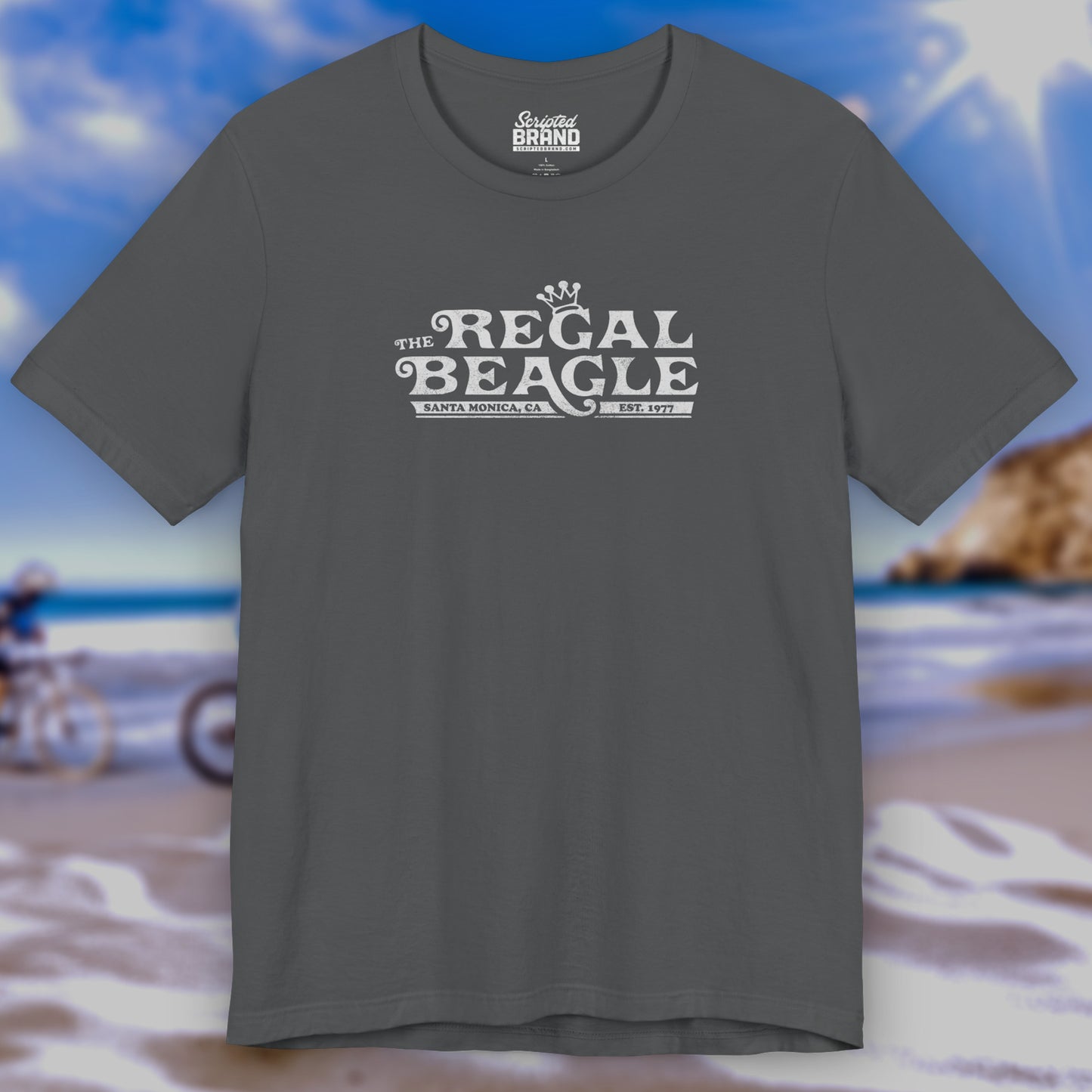 Front view of an asphalt gray colored soft Bella+Canvas 3001 short-sleeve t-shirt featuring the Regal Beagle logo from the TV Show Threes Company in a vintage distressed style.