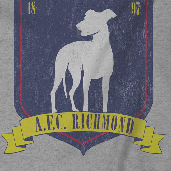Video Closeup of an athletic heather grey soft Bella+Canvas 3001 short-sleeve t-shirt featuring the logo graphic of the fictional English soccer team AFC Richmond inspired by the TV show Ted Lasso in a vintage distressed style, sold by ScriptedBrand.